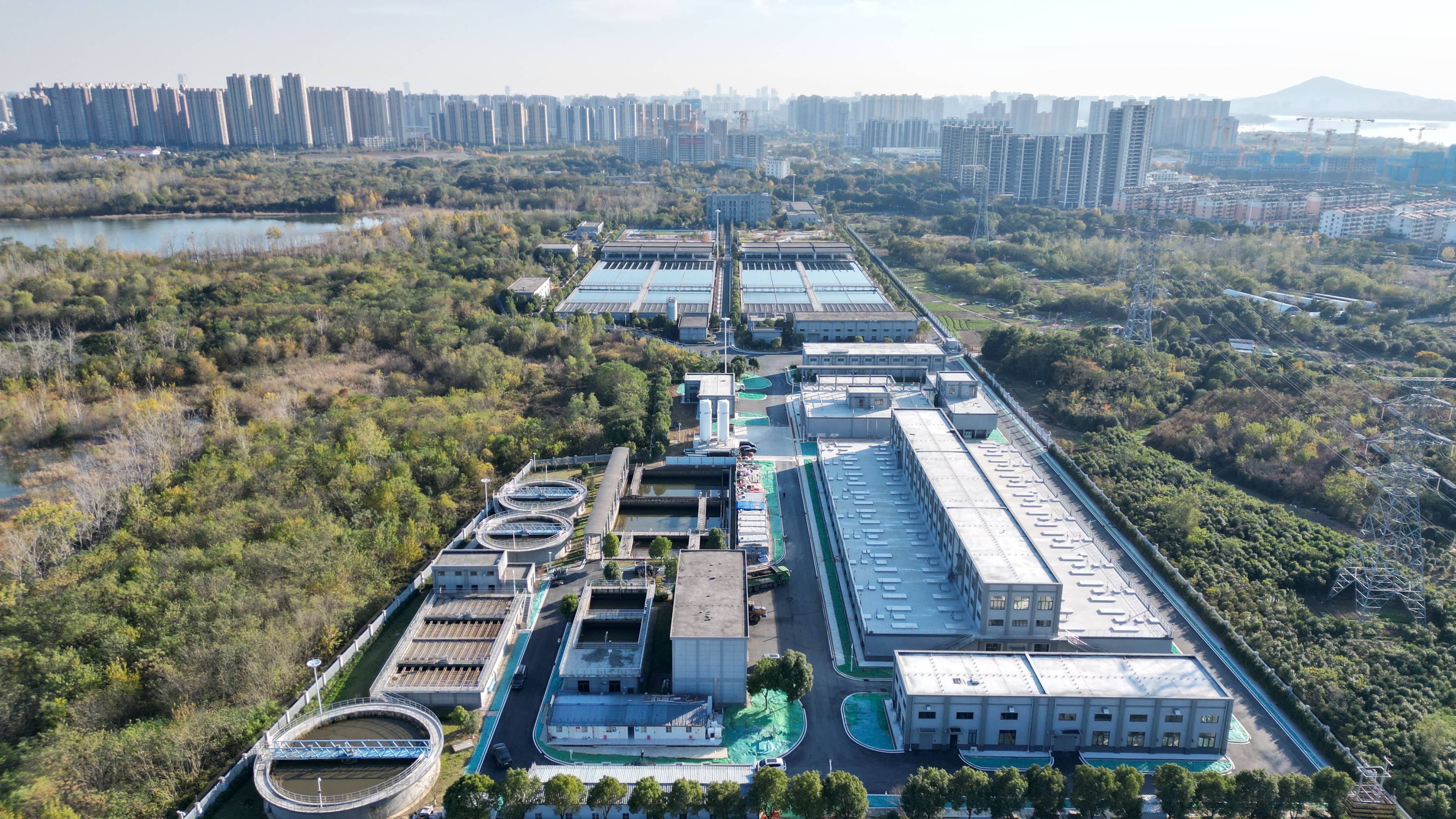 绵阳市合肥专业企业价值增长(合肥市重点企业产业目录)