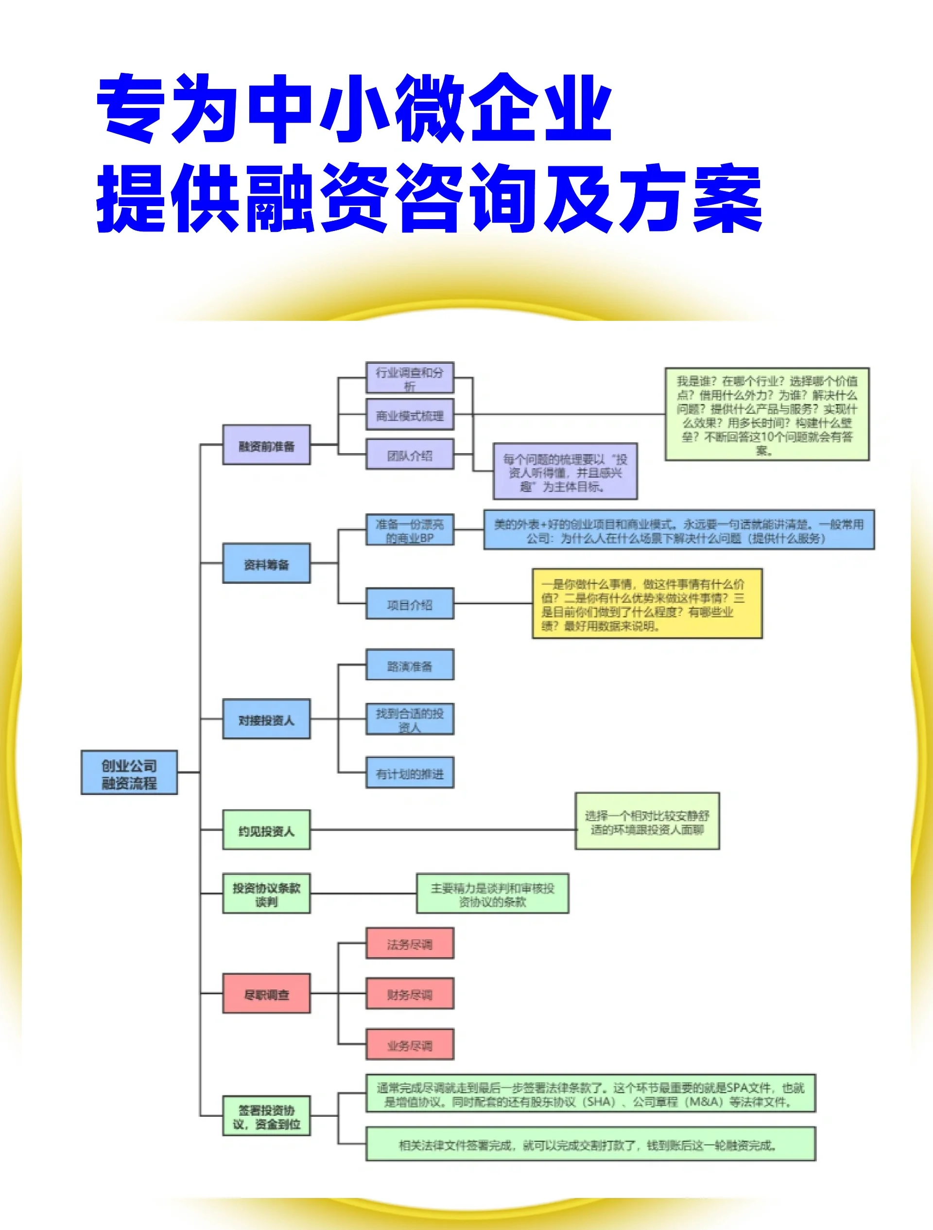 绵阳市宠物企业资金管理(宠物管理机构叫什么)